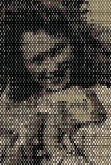 Patterns created from Photographs, beadwork by Erin Simonetti
