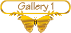 Beaded Jewelry Gallery 1