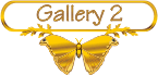 Beaded Jewelry Gallery 2